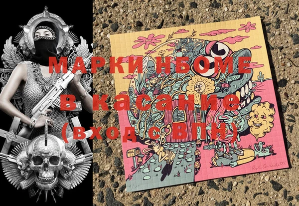 индика Аркадак