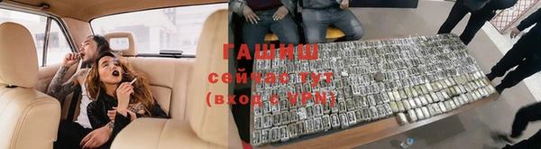 индика Аркадак