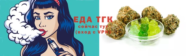 индика Аркадак