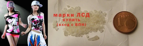 индика Аркадак