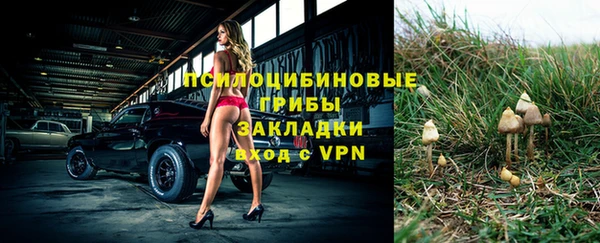 не бодяженный Армянск