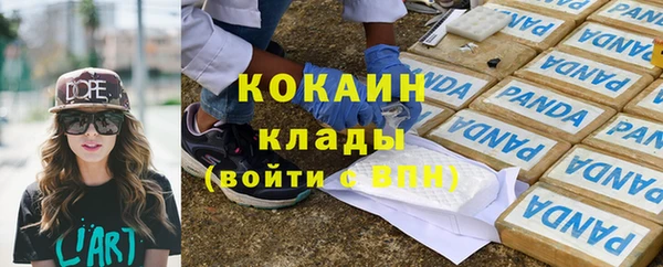 индика Аркадак