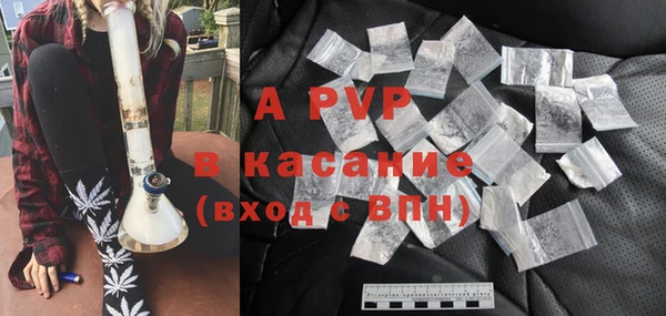 индика Аркадак