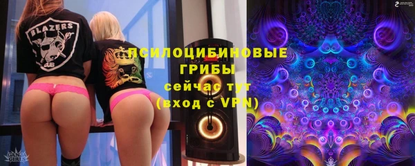 трава Арсеньев