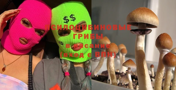 не бодяженный Армянск