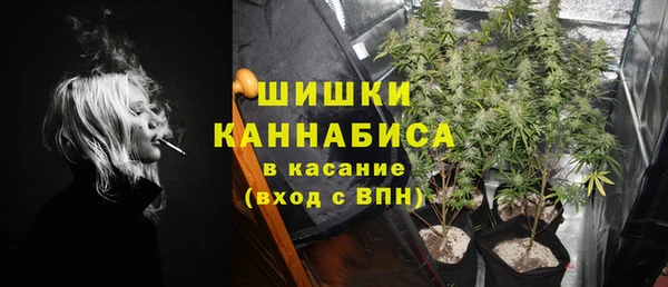 трава Арсеньев