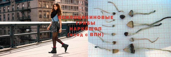 трава Арсеньев