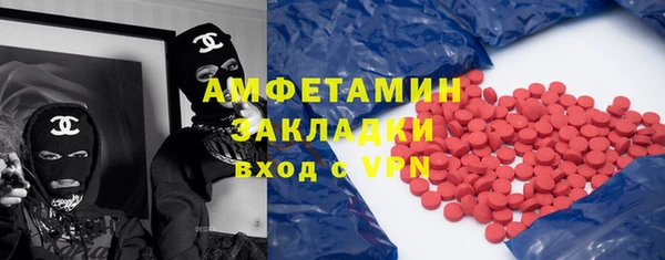 индика Аркадак