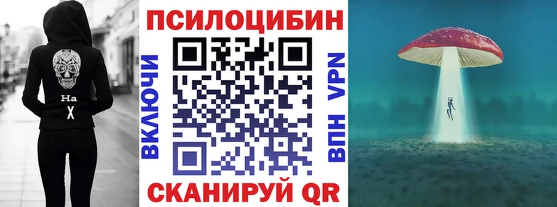 Псилоцибиновые грибы Psilocybe  Калтан 